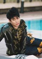 羞羞的鐵拳[2017年宋陽、張遲昱執導電影]