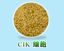 CIK細胞 CIK細胞