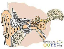 中耳乳突癌 中耳乳突癌