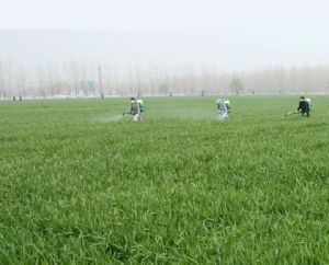 新農水產村 新農水產村