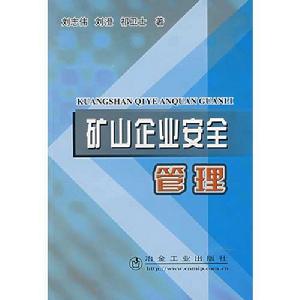 礦山企業安全管理 礦山企業安全管理