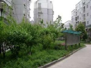 教工新村邁皋橋 教工新村邁皋橋