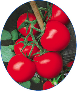 萬榮卓越 萬榮卓越