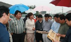 （圖）陝西省楊陵區楊村鄉