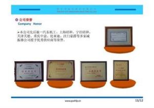 星環閥片有限公司 星環閥片有限公司