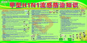 甲型豬流感 甲型豬流感