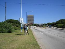 伊莉莎白港大學 伊莉莎白港大學