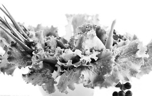 代謝性吸水 代謝性吸水