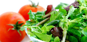 自然舒食養生法則 自然舒食養生法則