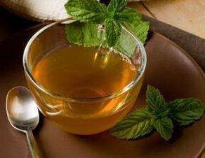 闌尾清化湯 闌尾清化湯