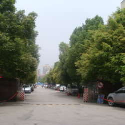 達萊花園 達萊花園