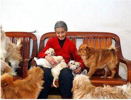 愛狗人士 愛狗人士