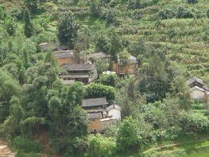 蘆稿箐自然村村莊面貌