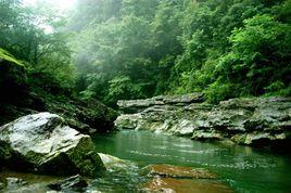 黎坪風景區 黎坪風景區