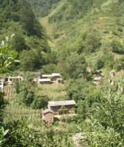 新房自然村 新房自然村