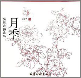 實用白描畫稿月季 實用白描畫稿月季