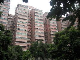 金迪城市花園 金迪城市花園