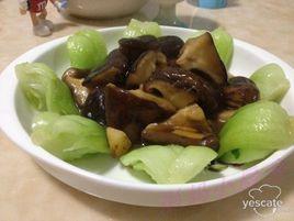 耗油香菇油菜 耗油香菇油菜