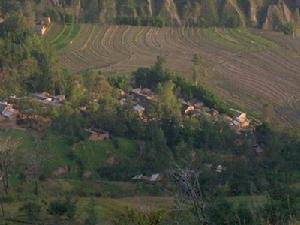 桃樹角自然村 桃樹角自然村