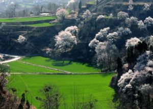 尖山風景區管委會