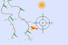 打鳥遊戲 打鳥遊戲