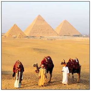 埃及國慶日 埃及國慶日