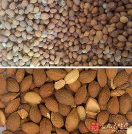 油料種子蛋白質 油料種子蛋白質