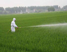 農藥污染物 農藥污染物