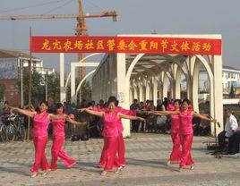 龍亢農場 龍亢農場