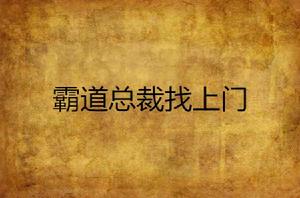 霸道總裁找上門 霸道總裁找上門