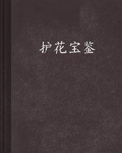 護花寶鑑 護花寶鑑
