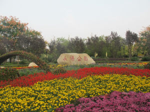 永陽公園 永陽公園