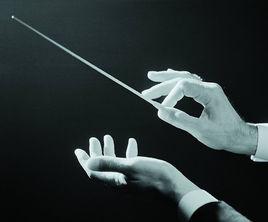 樂隊指揮 樂隊指揮