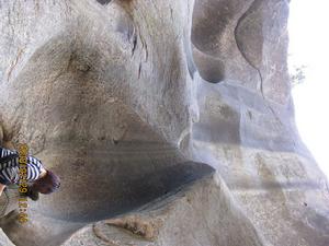 中國第四紀冰川遺蹟陳列館