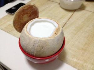 牛奶椰子布丁 牛奶椰子布丁