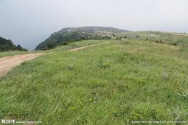嵩山草甸 嵩山草甸