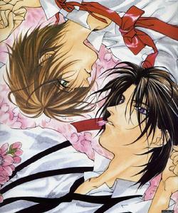 暗之末裔[日本松下容子創作的少女漫畫]