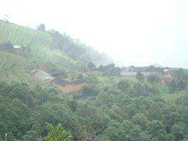 上龍潭村[易門縣十街鄉金田村民委員會下轄村]