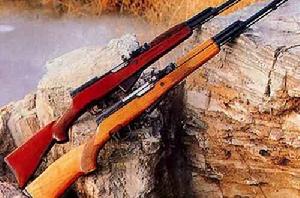 移動靶氣步槍 移動靶氣步槍