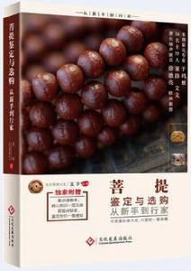 菩提鑑定與選購從新手到行家 菩提鑑定與選購從新手到行家