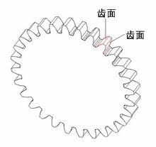 齒面圖片說明