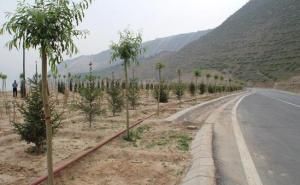 折達公路 折達公路