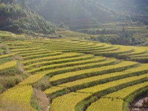 石河場村 石河場村