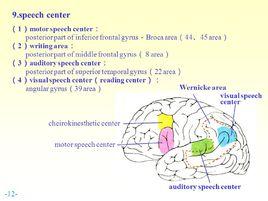 視區[醫學名詞]