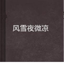 風雪夜微涼 風雪夜微涼
