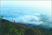 紅岩水庫[湖南省安化縣紅岩水庫]