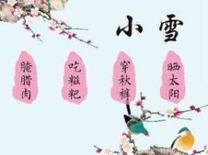 小雪[二十四節氣中的小雪]