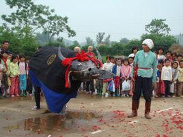 高州舞春牛 高州舞春牛