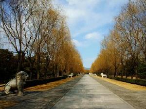 明十三陵石象生