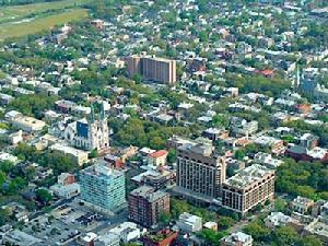 （圖）到喬治亞州參觀了大面積種植花生的農場和試驗場